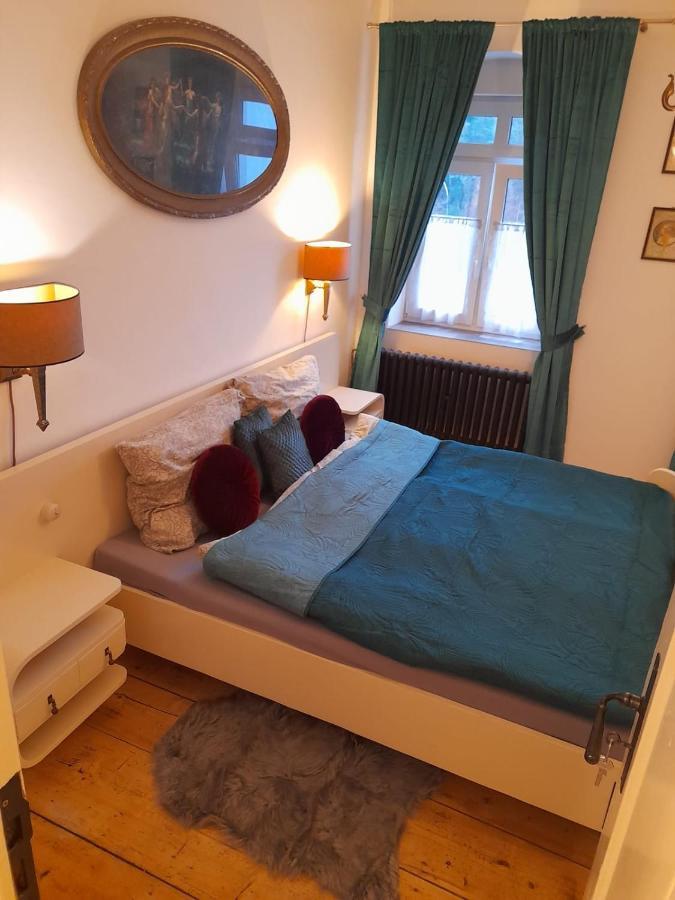 Zlata Leta - Apartmanovy Dum Яхимов Экстерьер фото